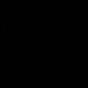 Meet your Posher, Troy